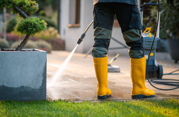 Best Roof Pressure Washing  in Charenton, LA
